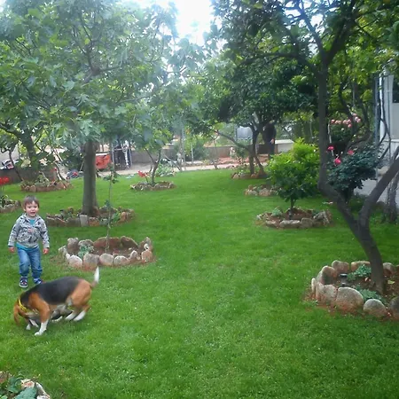 Pansion Ivan Guest house