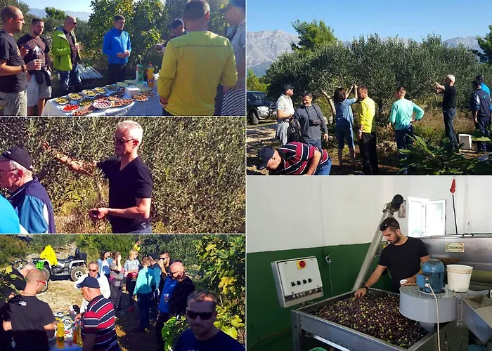 Pansion Ivan Guest house 4*