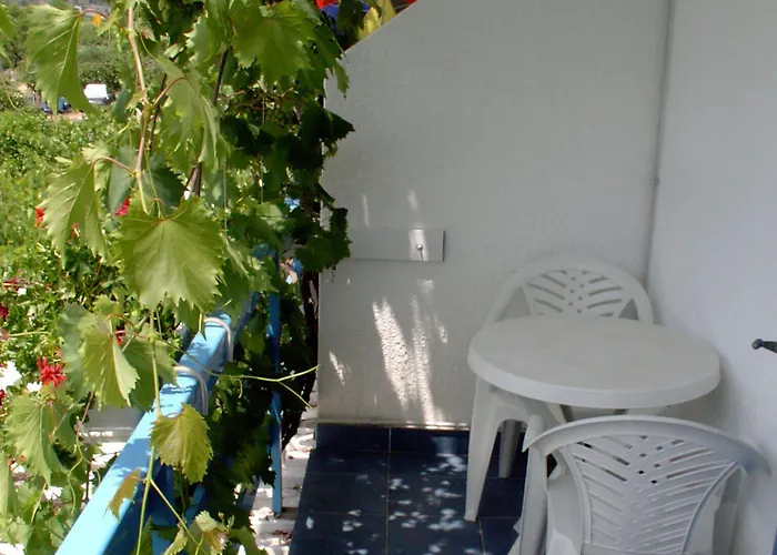 Pansion Ivan Sucuraj