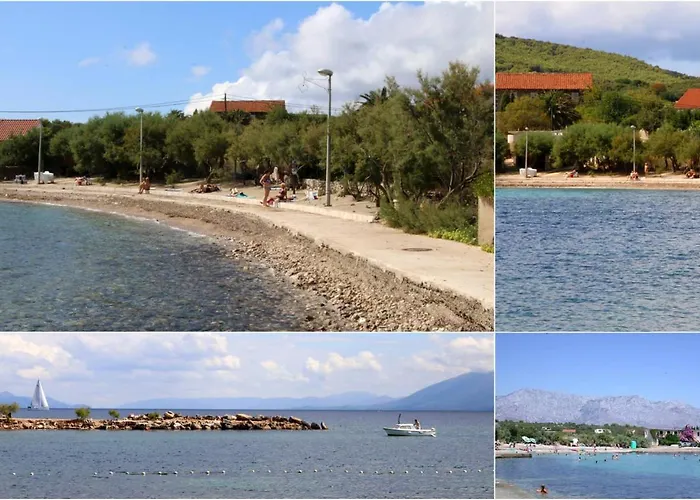 Pansion Ivan Guest house 4*