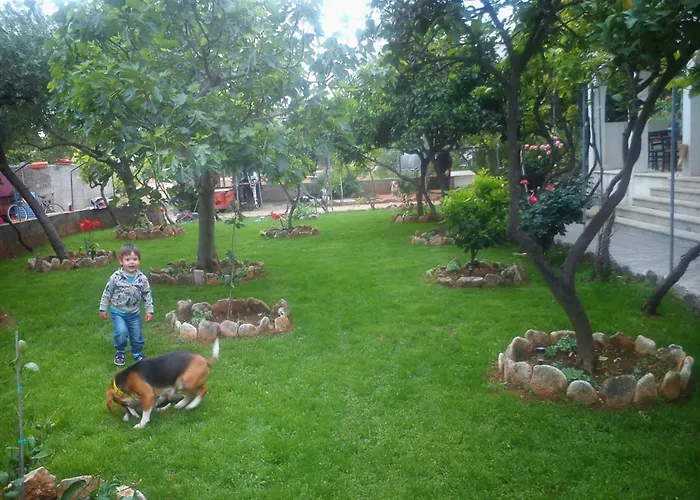 Pansion Ivan Guest house