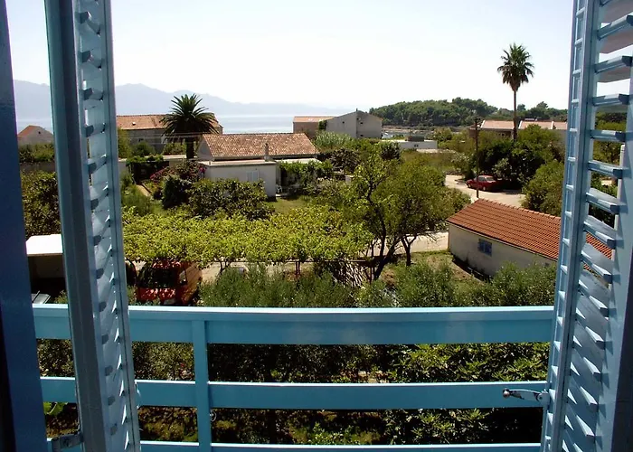 Pansion Ivan Guest house 4*