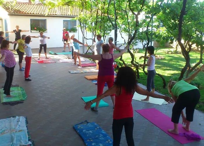 Pansion Ivan Guest house 4*