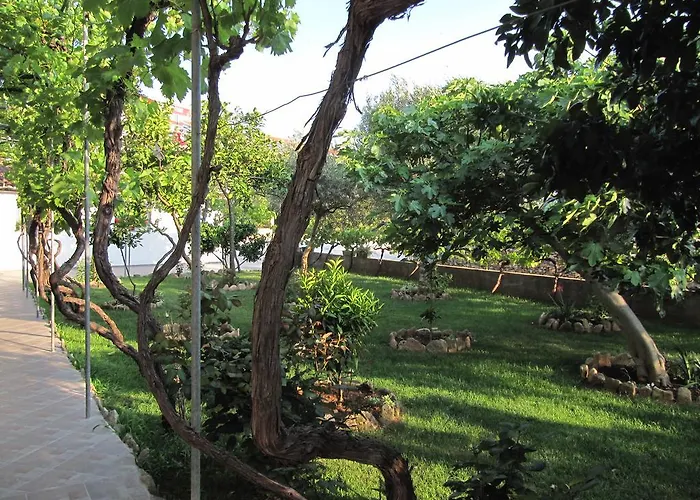 Pansion Ivan Guest house