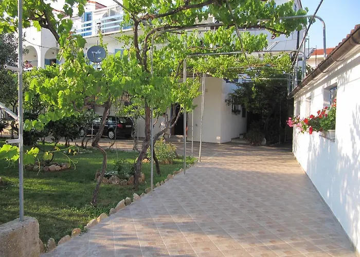 Pansion Ivan Sucuraj