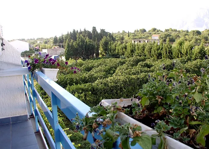 Pansion Ivan Guest house Sucuraj