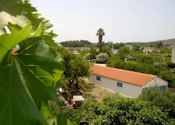 Pansion Ivan Guest house Sucuraj