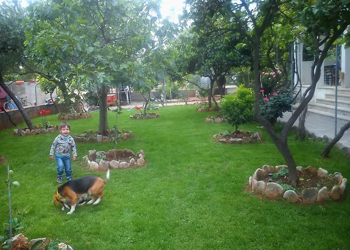 Guest house Pansion Ivan 4*