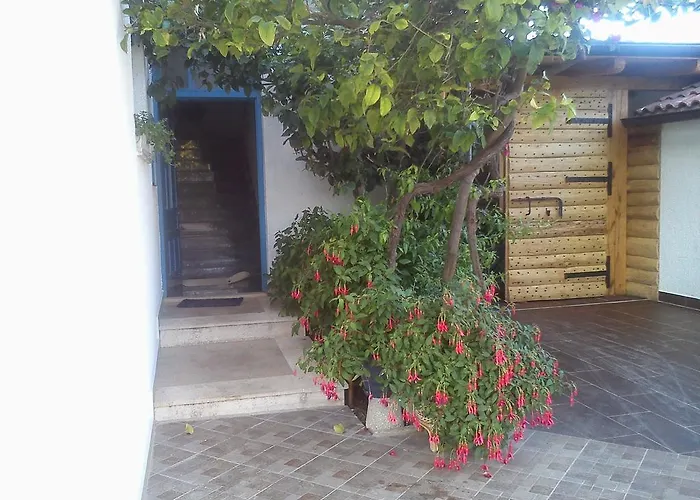 Guest house Pansion Ivan 4*