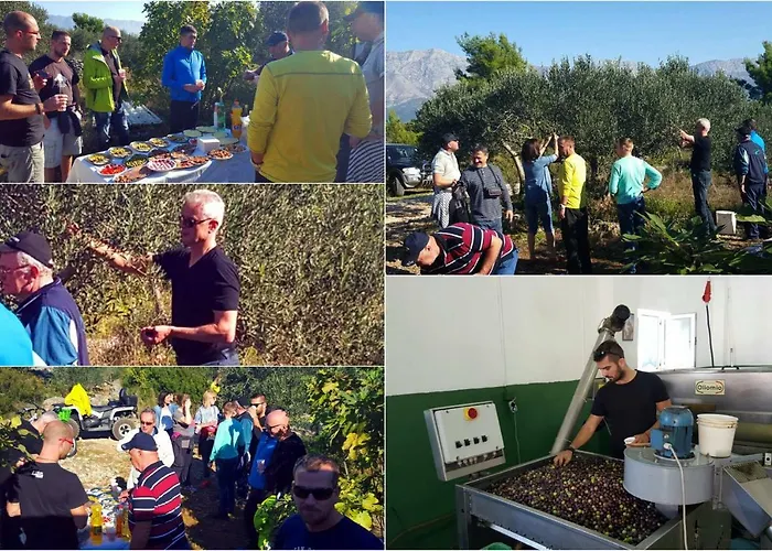 Guest house Pansion Ivan