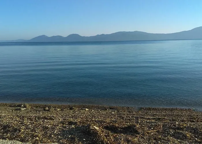 Pansion Ivan Sucuraj