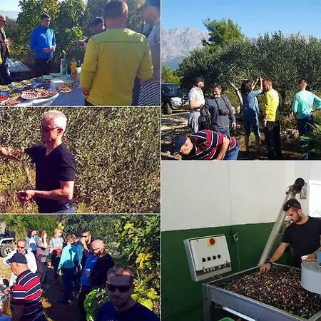 Pansion Ivan Gasthof 4*