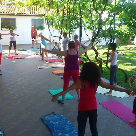 Pansion Ivan Gasthof 4*