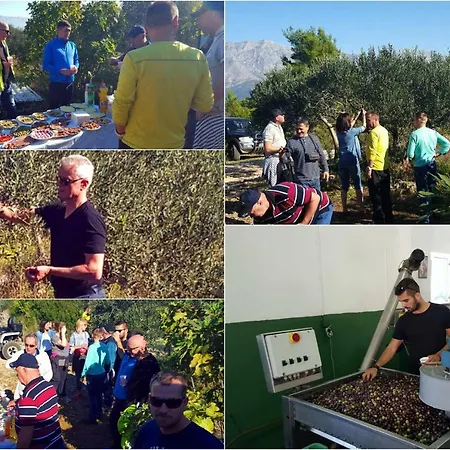 Gasthof Pansion Ivan